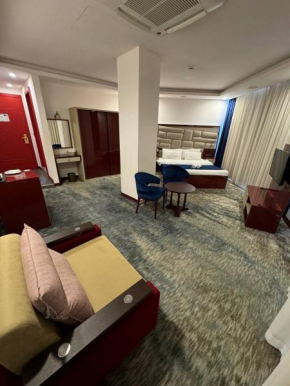 vip denis hotel